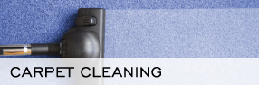 Carpet Cleaning